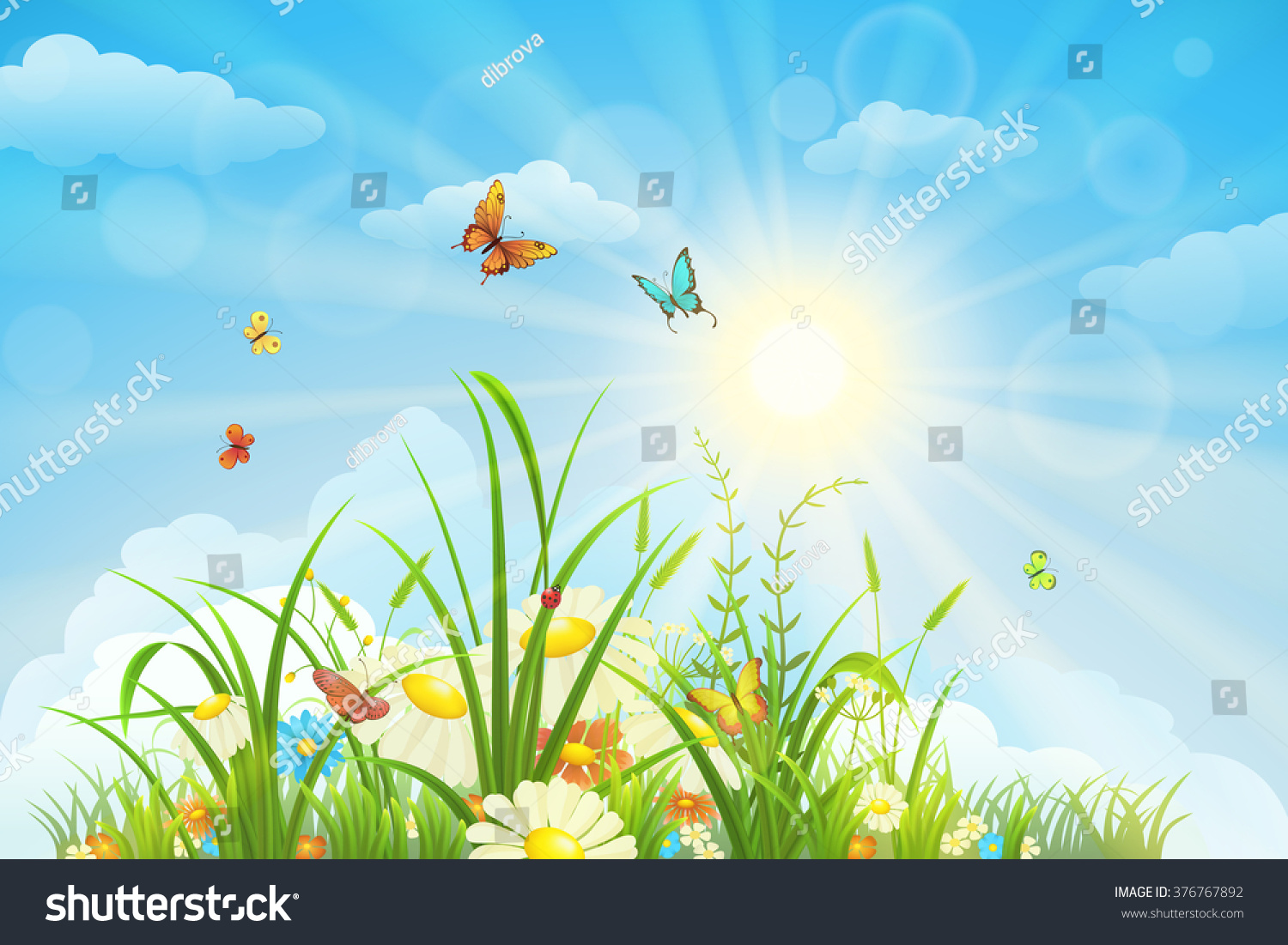 Summer And Spring Landscape, Meadow With Flowers, Blue Sky And ...