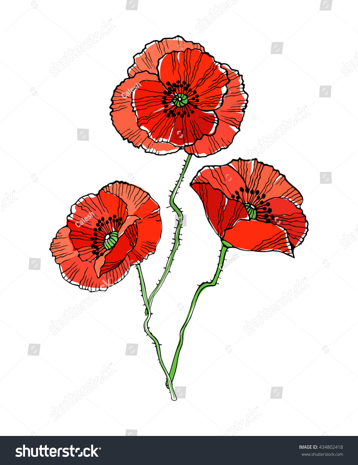 Summer Floral Bouquet Red Poppies Hand Stock Vector 434802418 ...