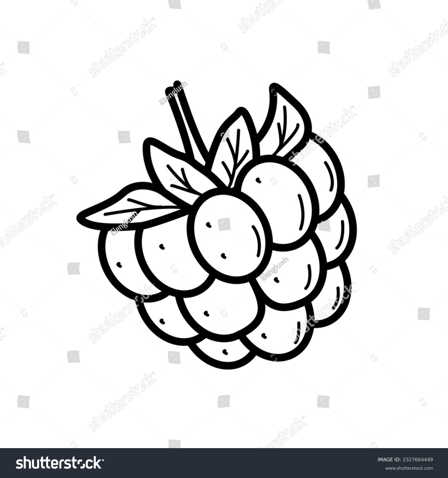 recommend clip art: Summer sweet berry raspberry doodle icon. Vector illustration single sketch isolate on white.