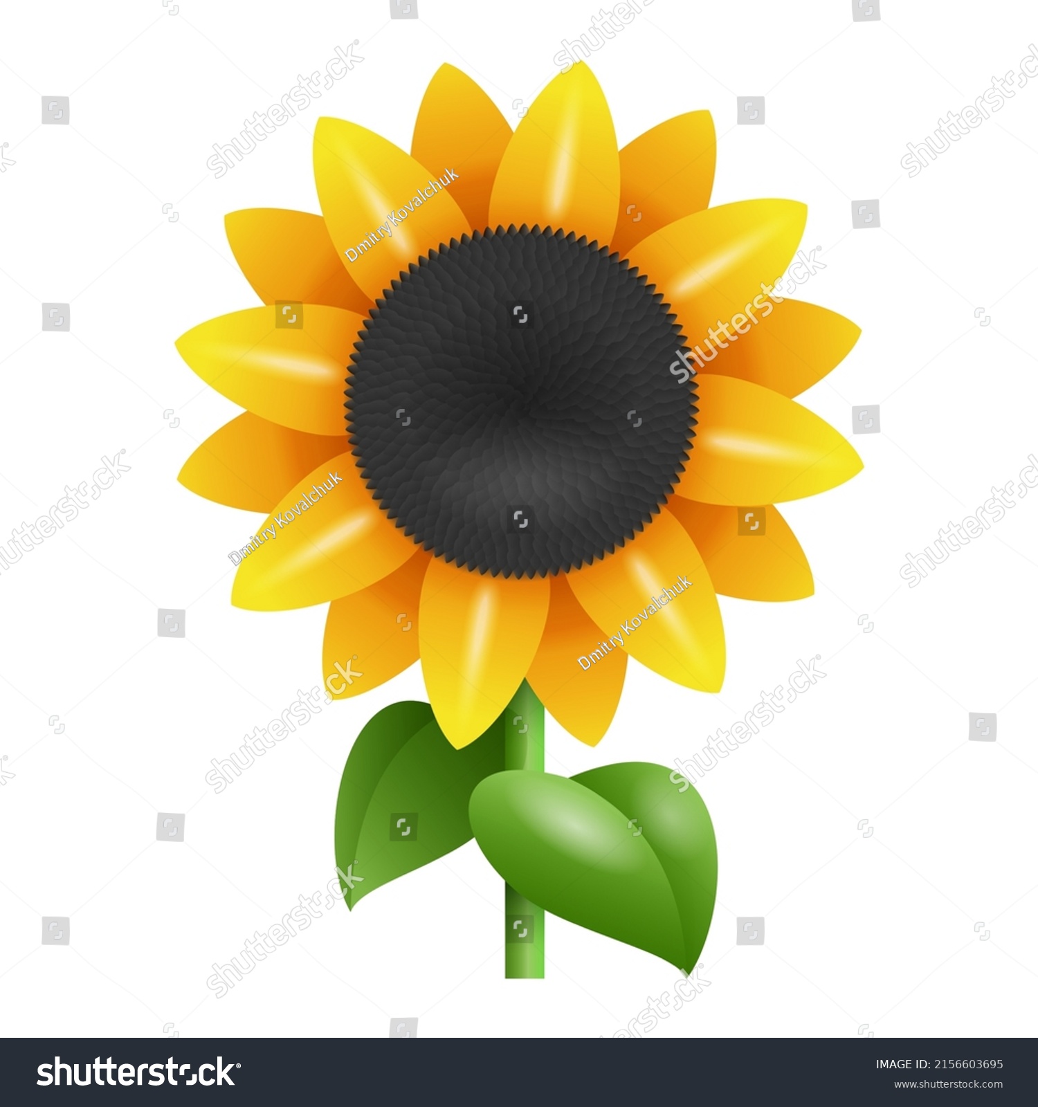 SVG of Sunflower 3D icon for cooking oil. Yellow flower with seeds svg