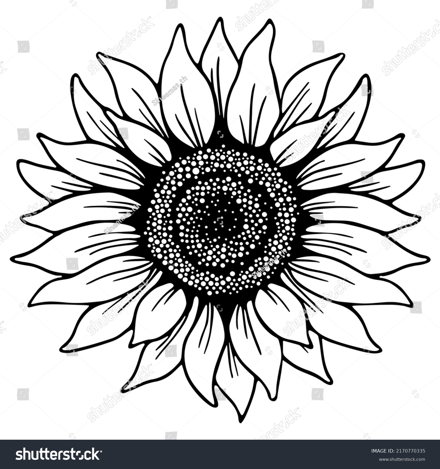 Sunflower Flowerblack Outline Sunflower Line Art Stock Vector (Royalty ...