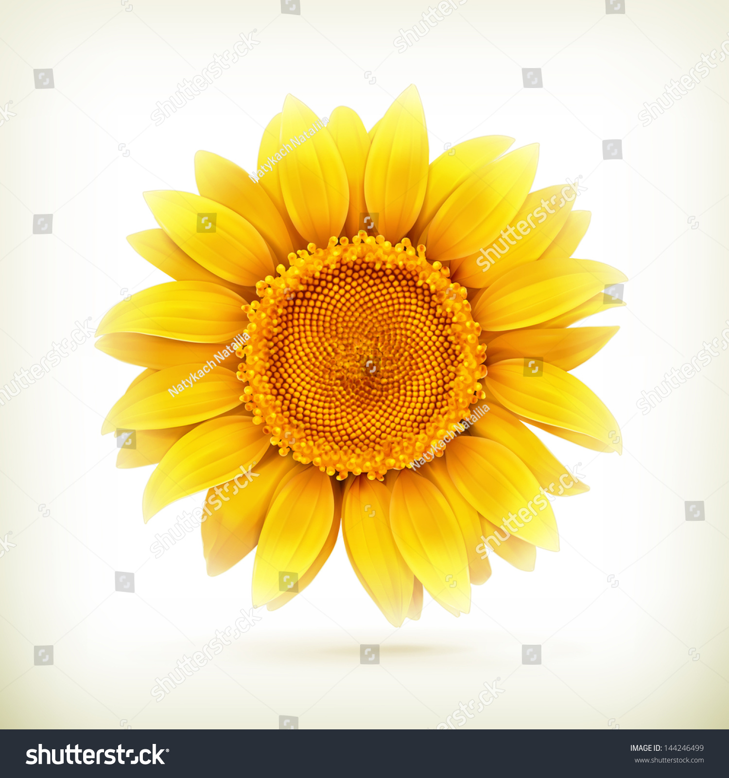 SVG of Sunflower, high quality vector illustration svg