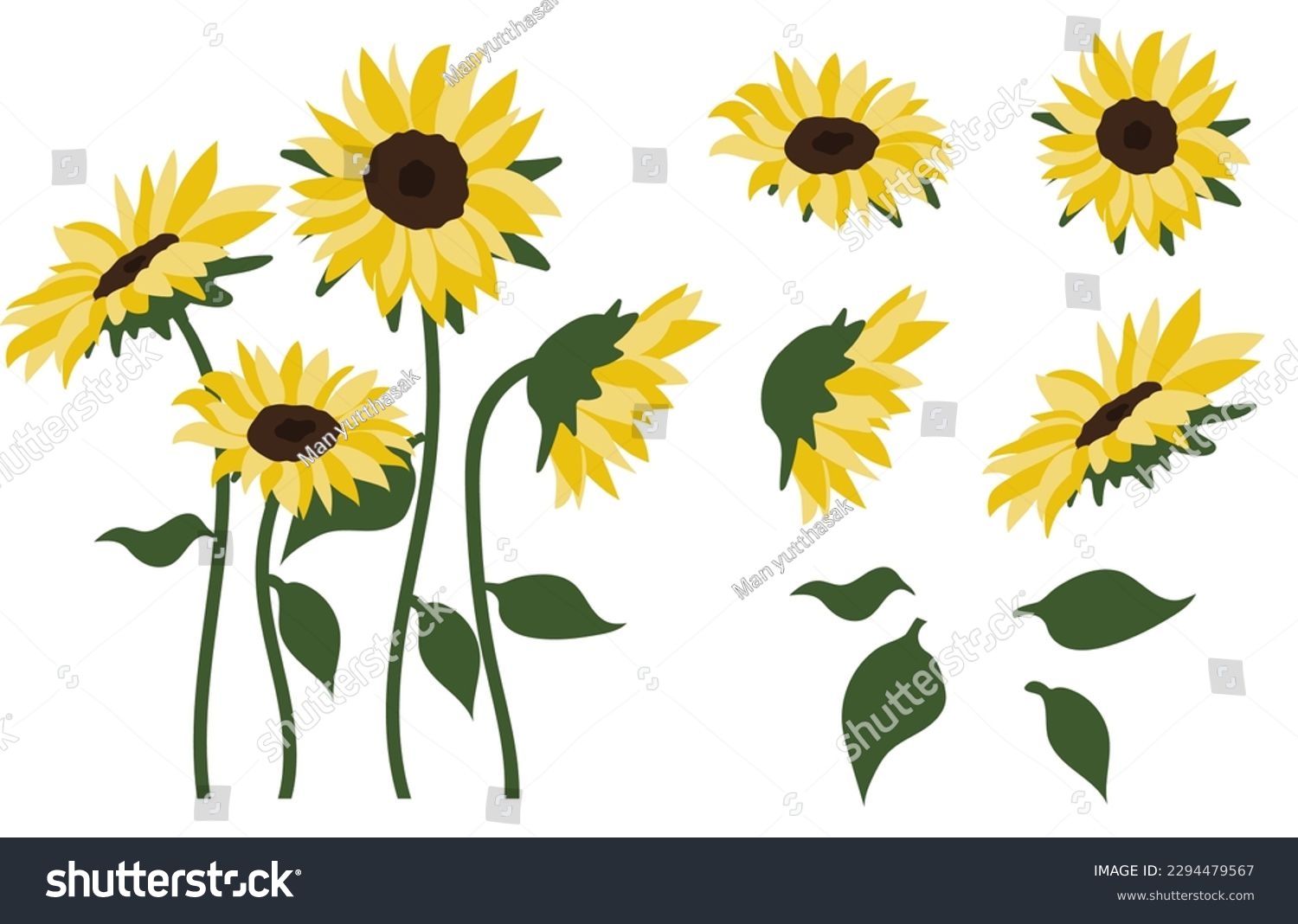 SVG of sunflower isolated on white background.Eps 10 vector. svg