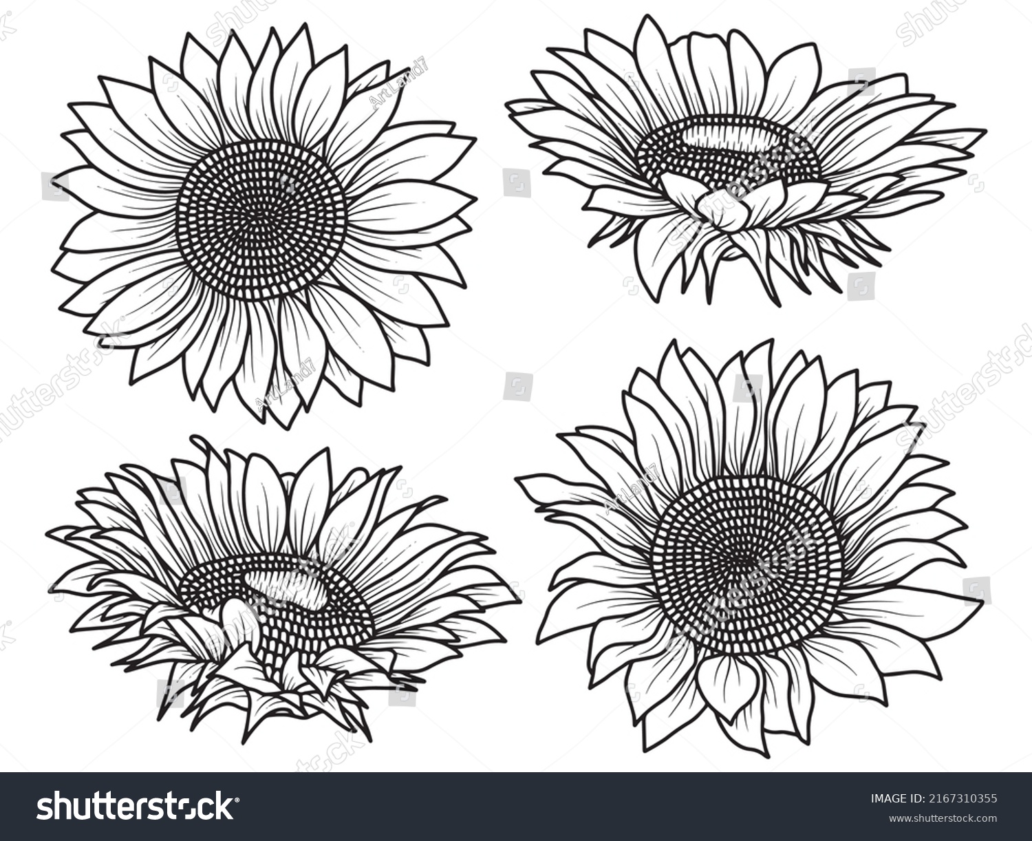 SVG of Sunflower Line Art flower vector svg