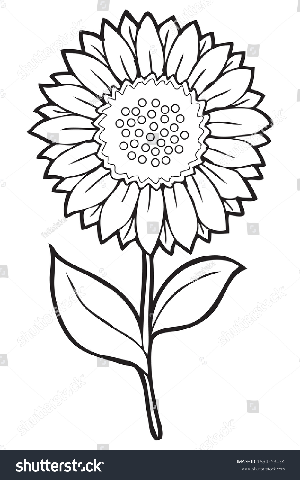 Sunflower Line Vector Illustration Isolated On Stock Vector (Royalty ...