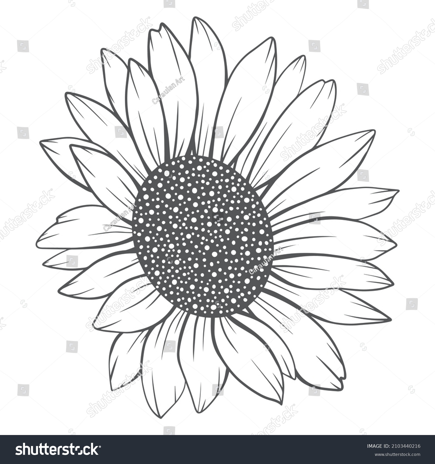Sunflower Outline Sunflower Line Art Floral Stock Vector (Royalty Free ...