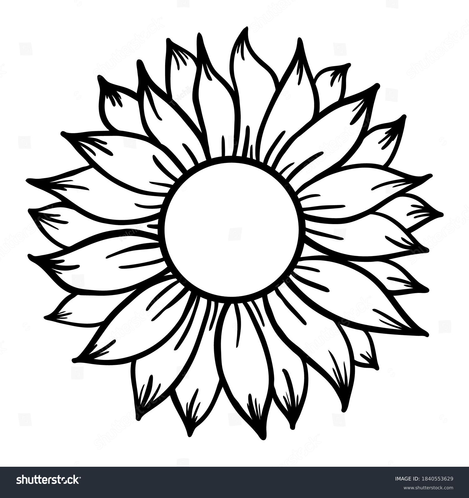 SVG of Sunflower print vector illustration for chirt floral decor svg