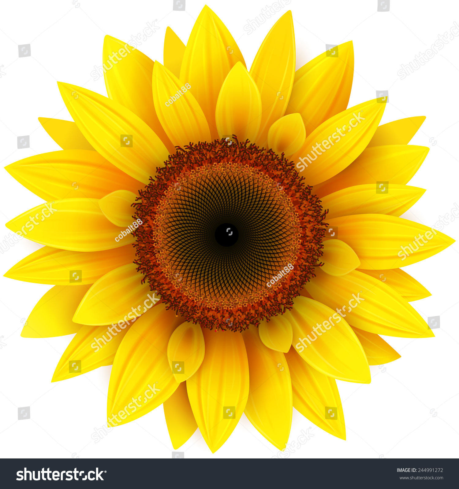 Free Free 309 Realistic High Resolution Sunflower Svg SVG PNG EPS DXF File