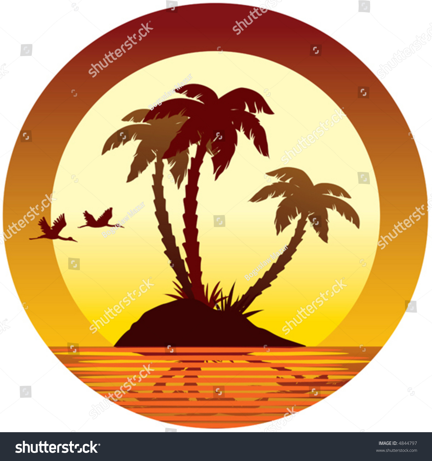 Sunset, Island, Palms And Birds, Vector - 4844797 : Shutterstock