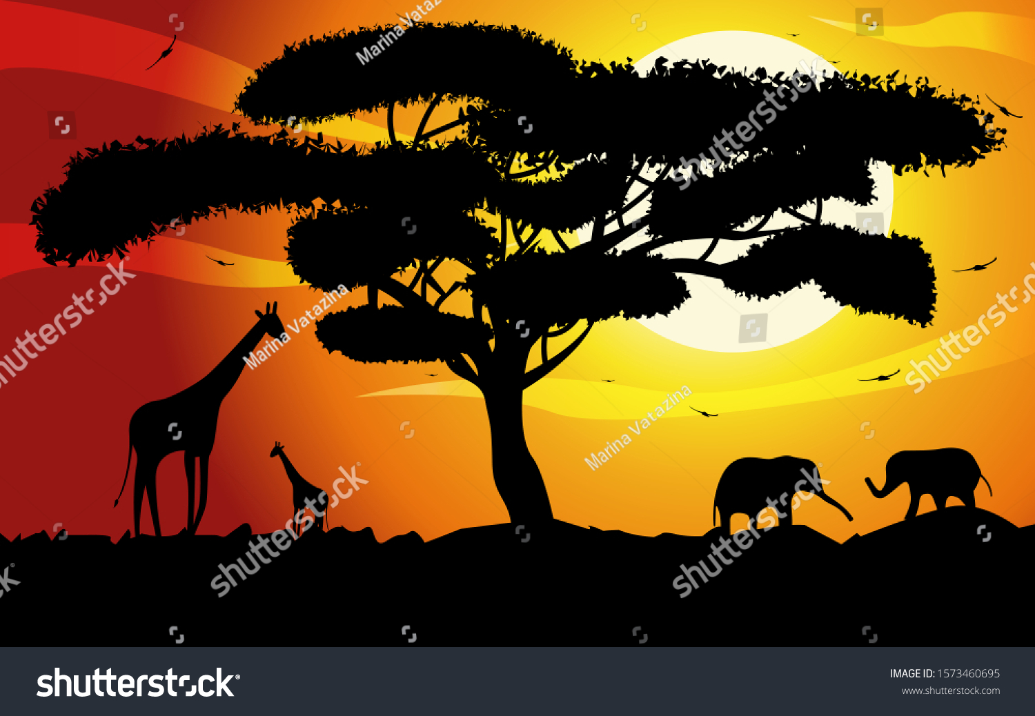 Sunset Sunrise Africa Silhouettes Trees Grass Stock Vector (Royalty ...