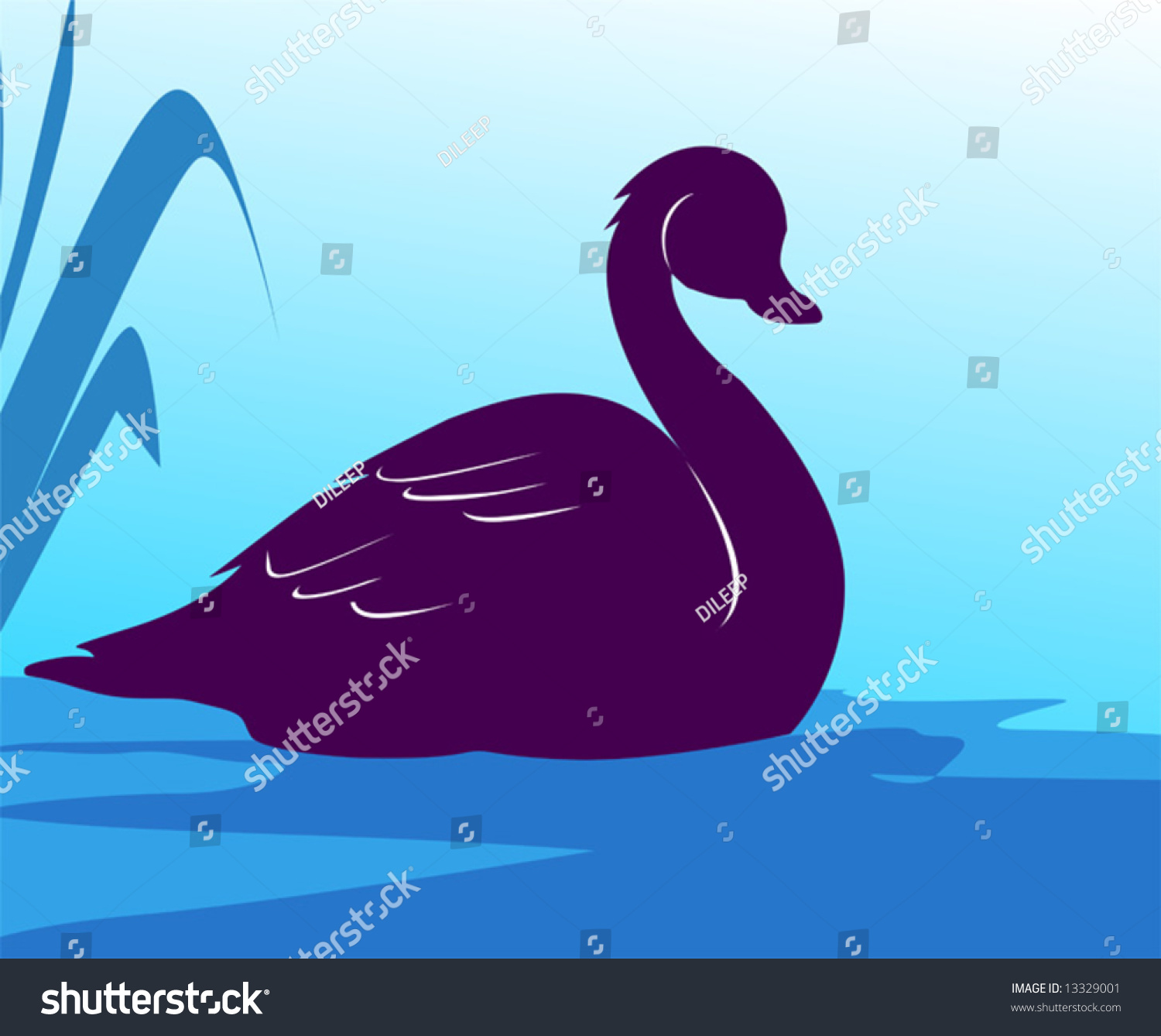 Swan Water Stock Vector Royalty Free 13329001