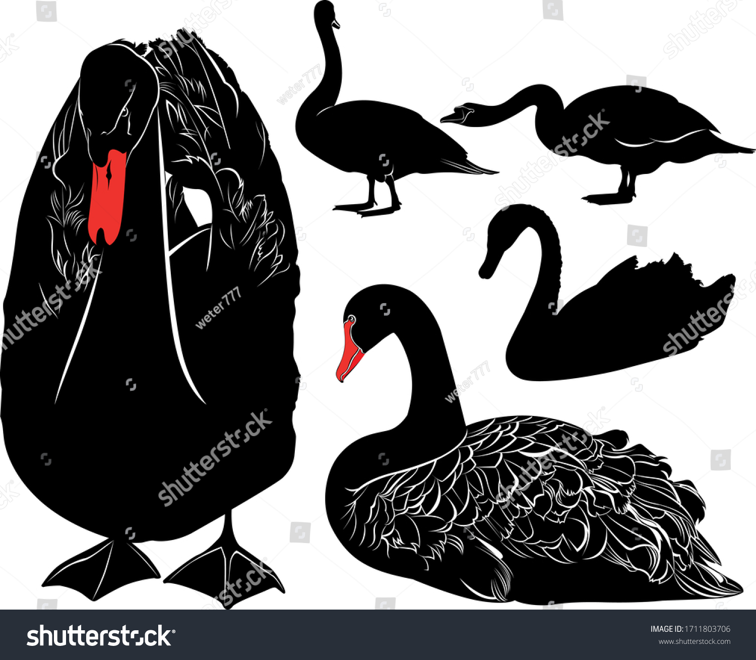 134,088 Swan beak Images, Stock Photos & Vectors | Shutterstock