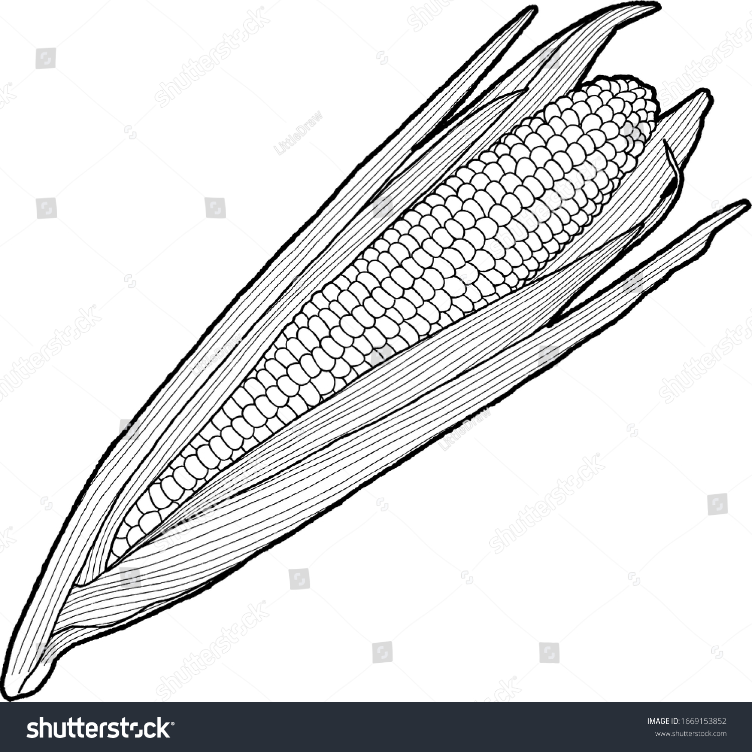 Sweet Corn Vector Illustration Hand Drawn Stock Vector (Royalty Free ...