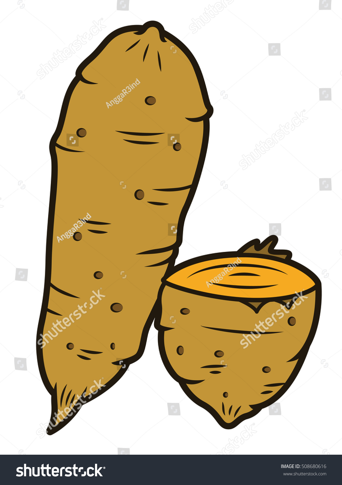 Sweet Potato Stock Vector Illustration 508680616 ...