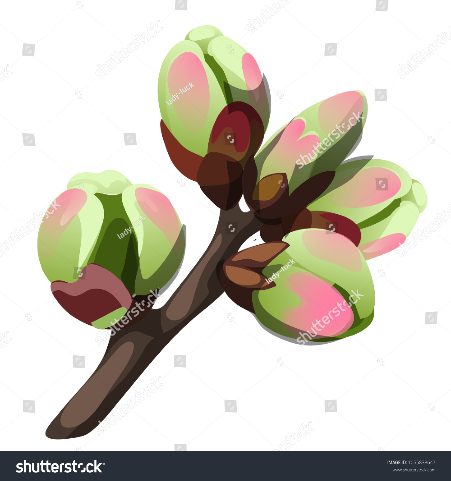 Swelling Buds On Tree Early Spring Stock Vector Royalty Free