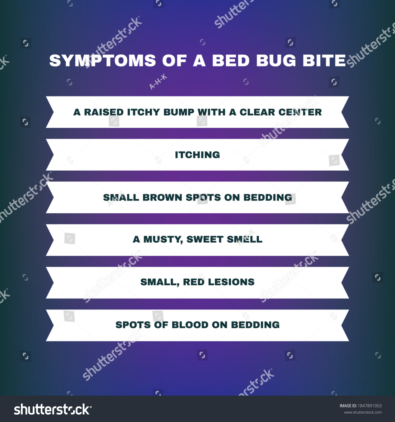 Vektor Stok Symptoms Bed Bug Bite Vector Illustration (Tanpa Royalti ...