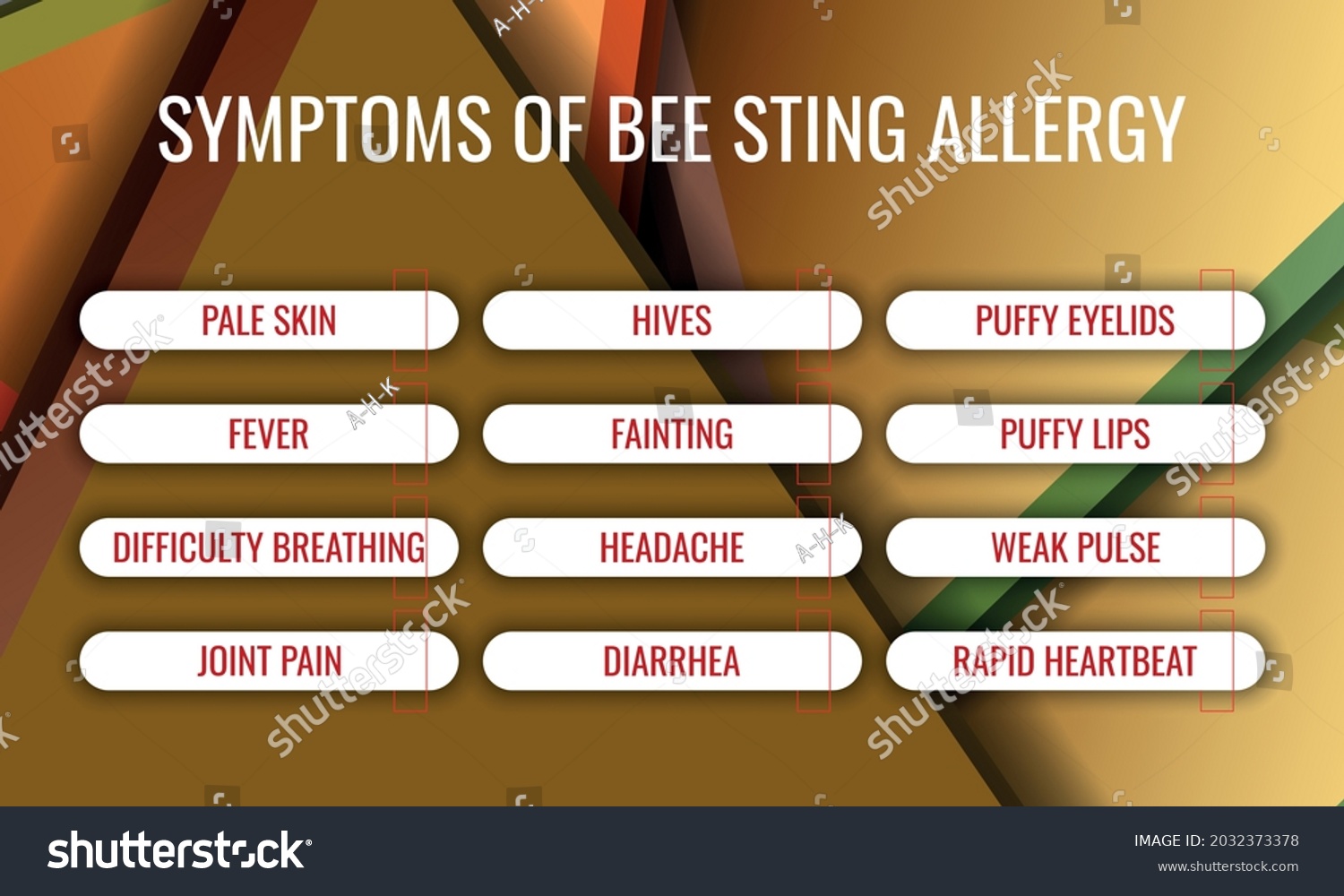 Symptoms Bee Sting Allergy Vector Illustration Stock Vector (Royalty ...