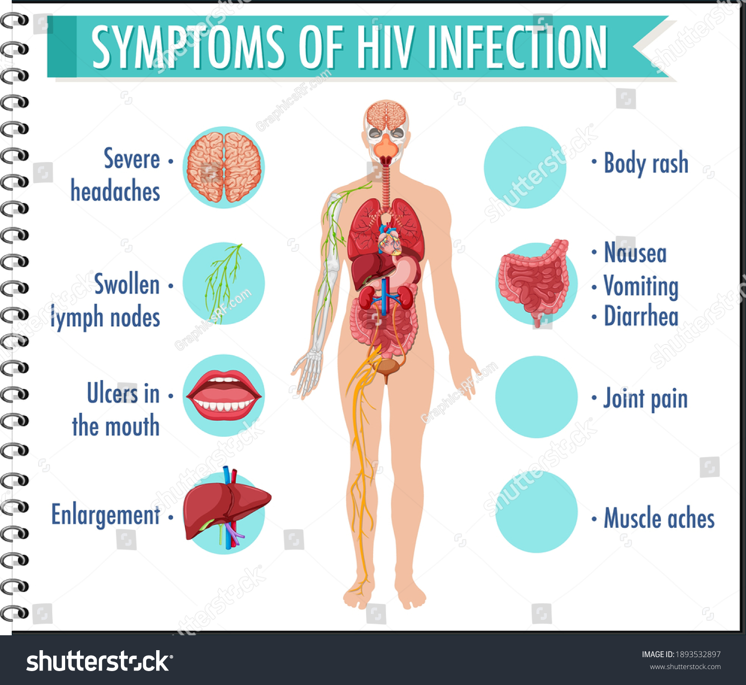 122,509 Physiology Images, Stock Photos & Vectors | Shutterstock