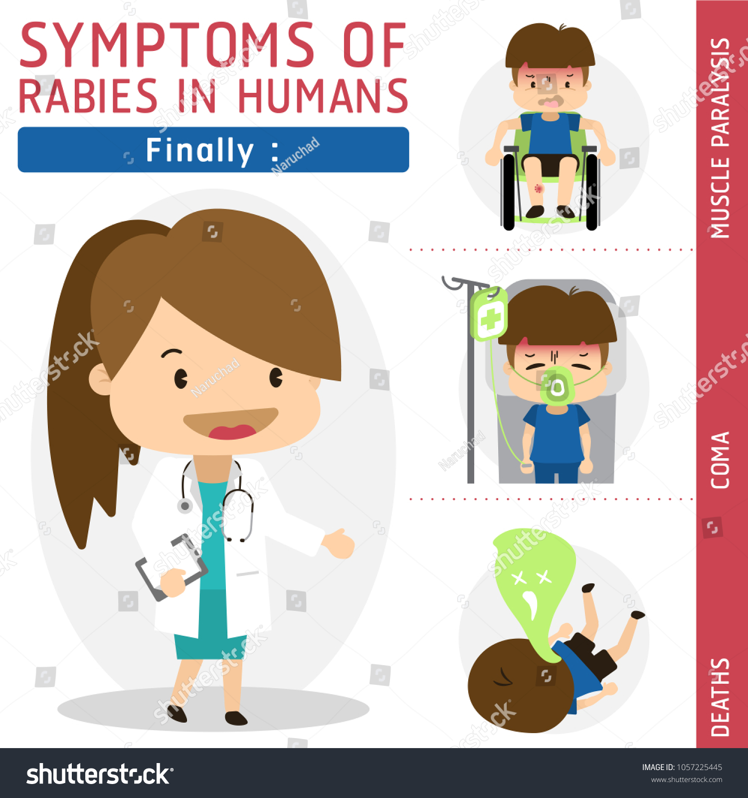 Vektor Stok Symptoms Rabies Humans Finally Rabies Vector Tanpa Royalti 1057225445 Shutterstock 7874