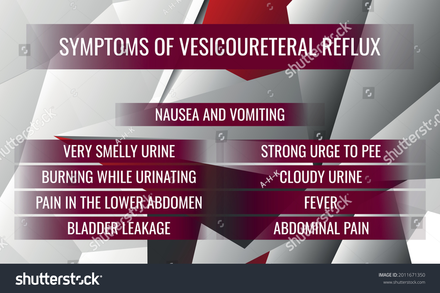 Symptoms Vesicoureteral Reflux Vector Illustration Medical Stock Vector symptoms-vesicoureteral-reflux-vector-illustration-medical-stock-vector