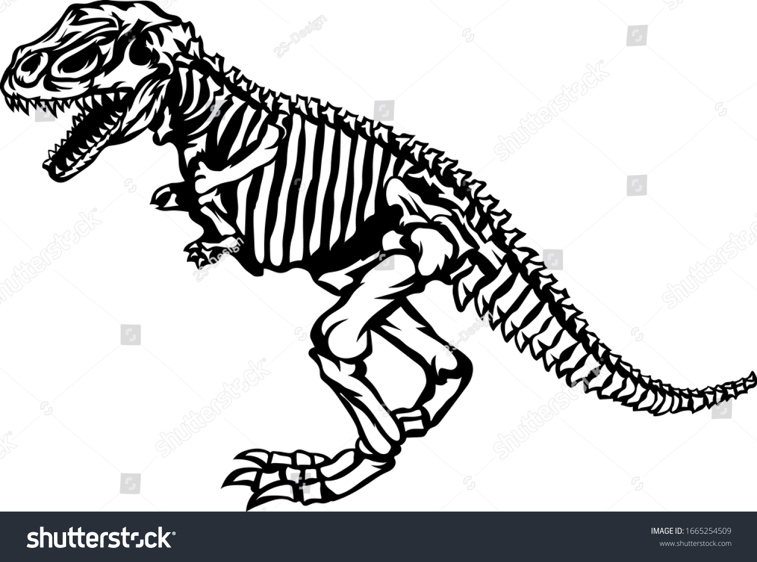 Trex Dinosaur Skeleton Illustration Vector Stock Vector Royalty Free 1665254509