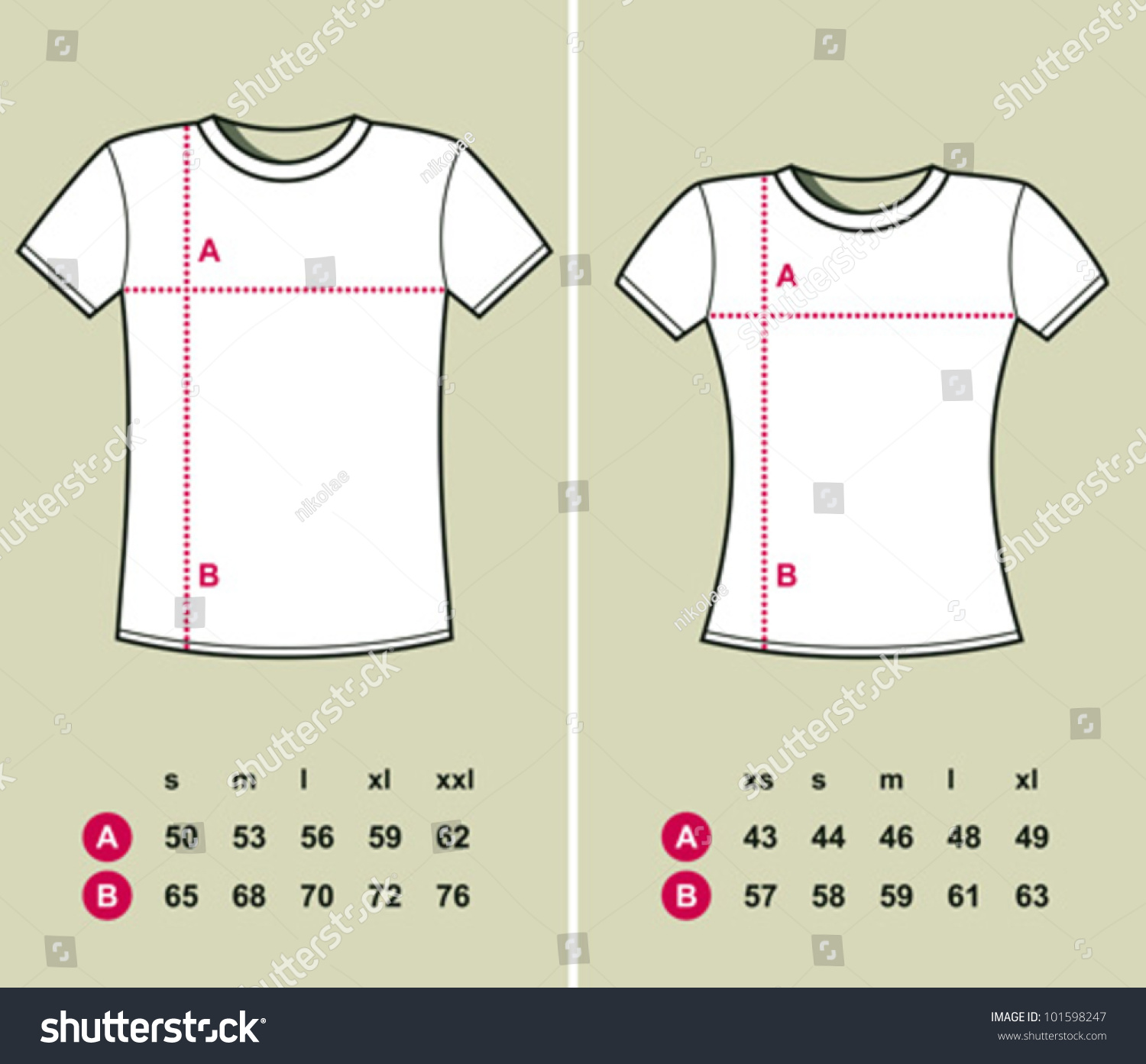T-Shirt Sizes (Men And Women) Stock Vector Illustration 101598247 ...