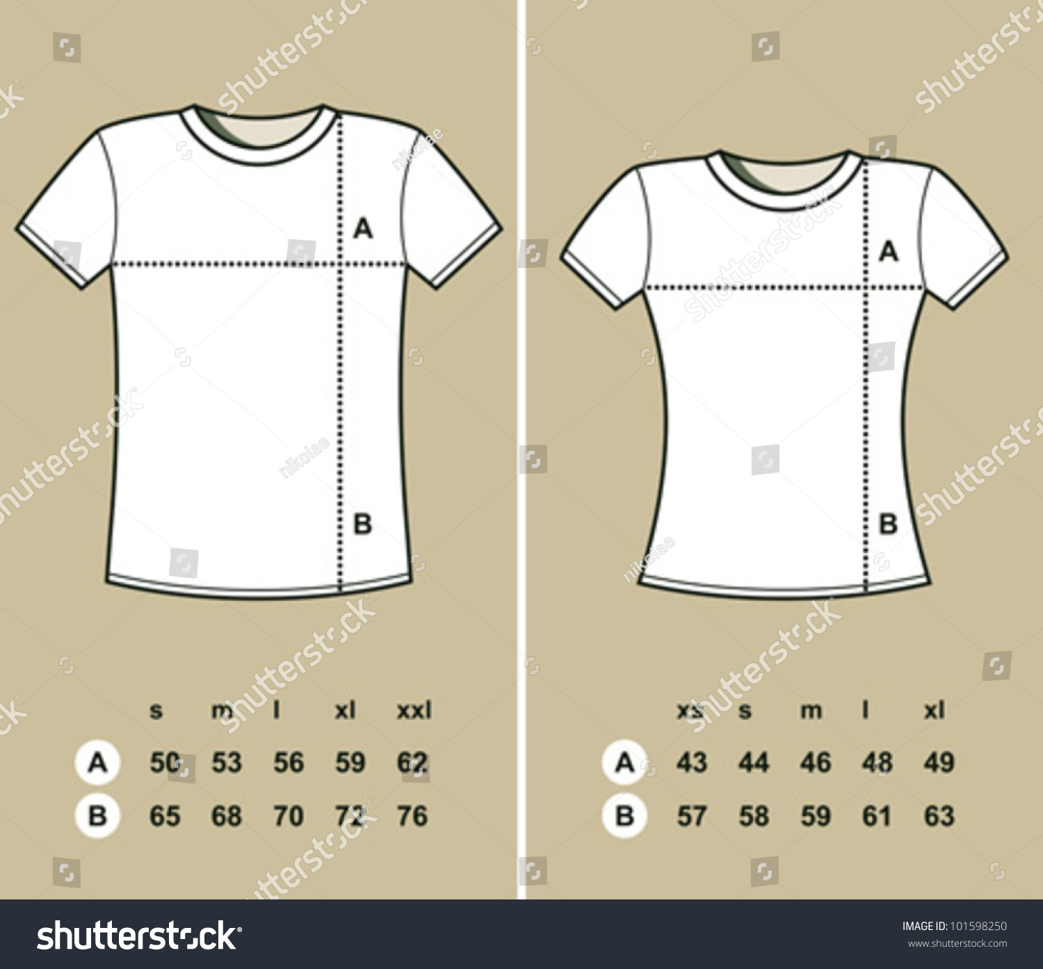 Tshirt Sizes Men Women Stock Vector 
