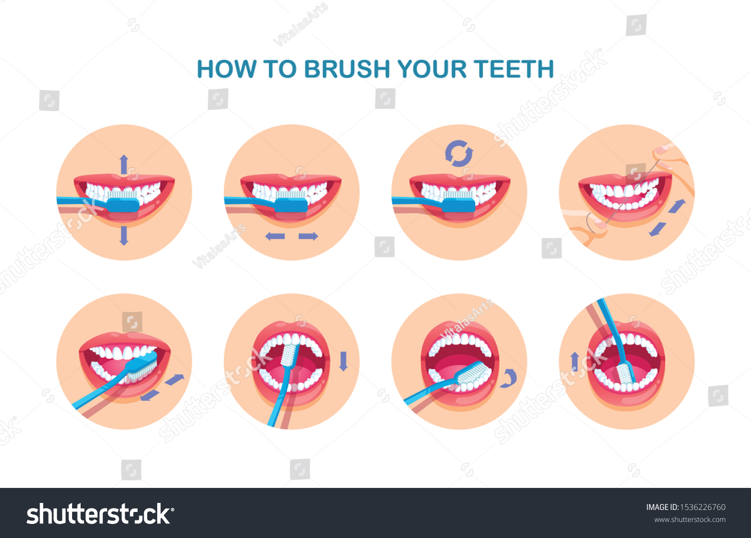 Table Shows How Brush Your Teeth Stock Vector (Royalty Free) 1536226760