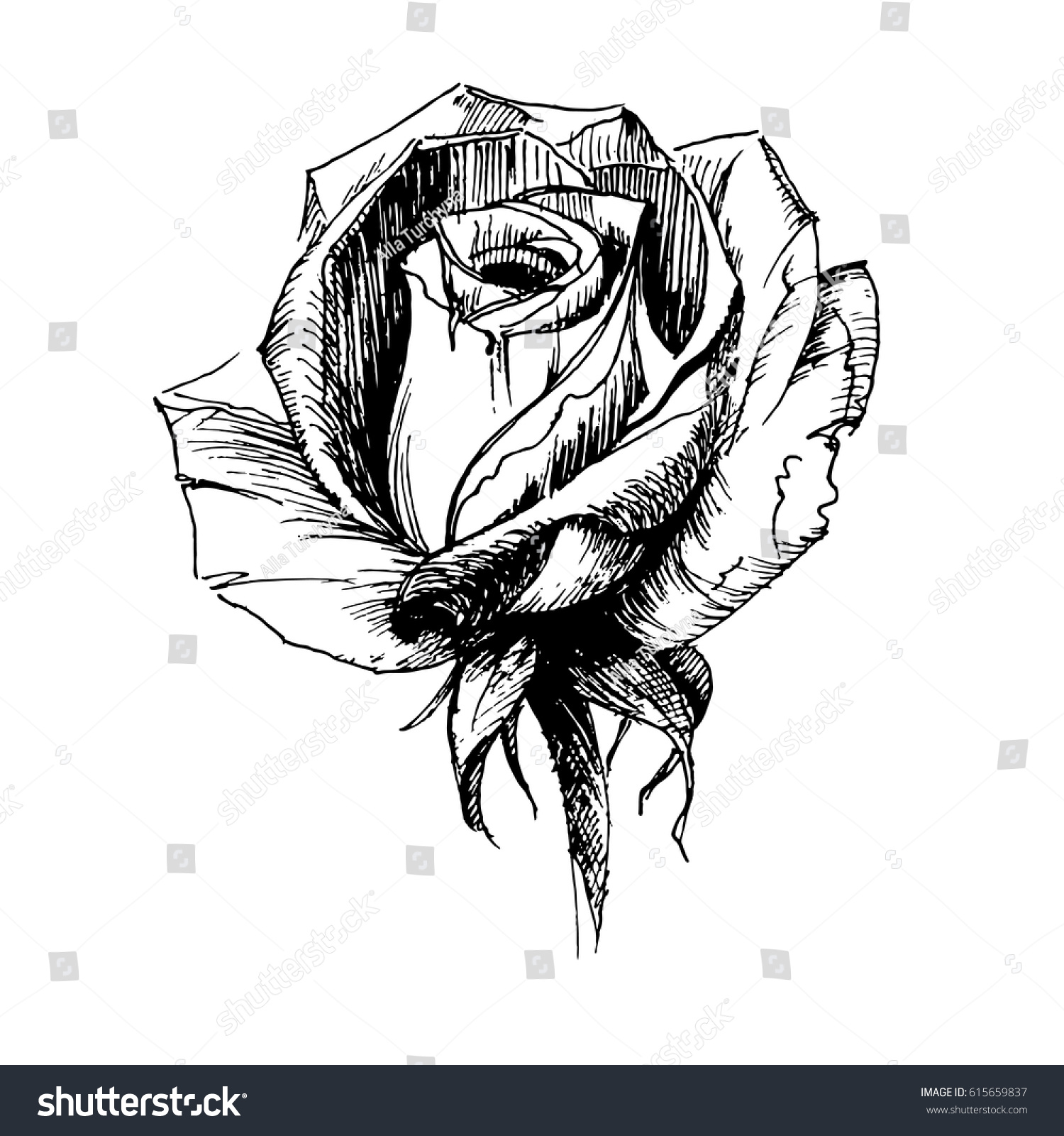 HXMAN 5pcs esquisse fleur autocollants femmes tatouage temporaire rose  pivoine fleur de lotus croquis dessins de tatouage caméra Triangle tatouage  noir sexy QC748 (en anglais seulement): Amazon.fr: Beauté et Parfum