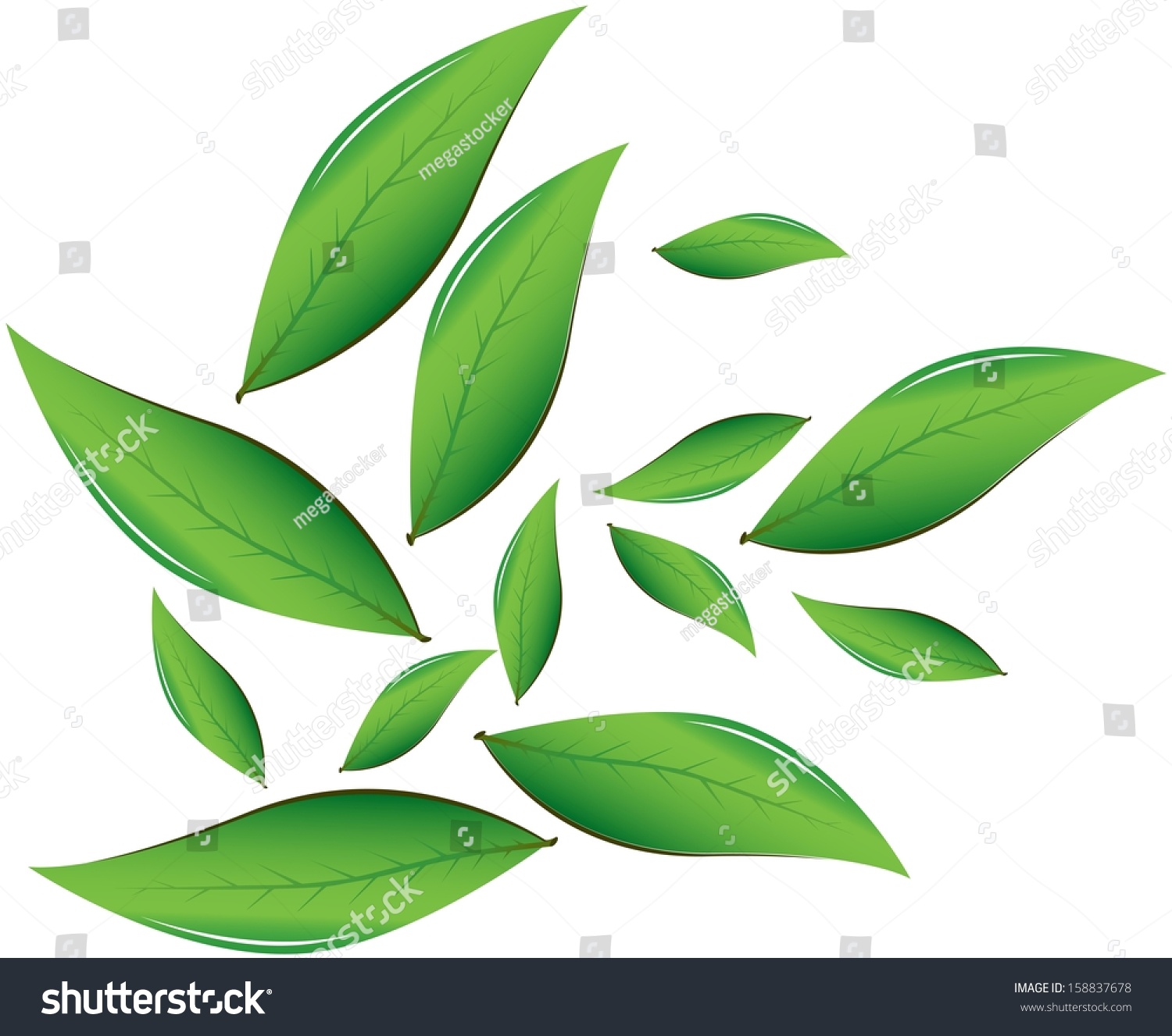 green leaves floating on white background clip art preview