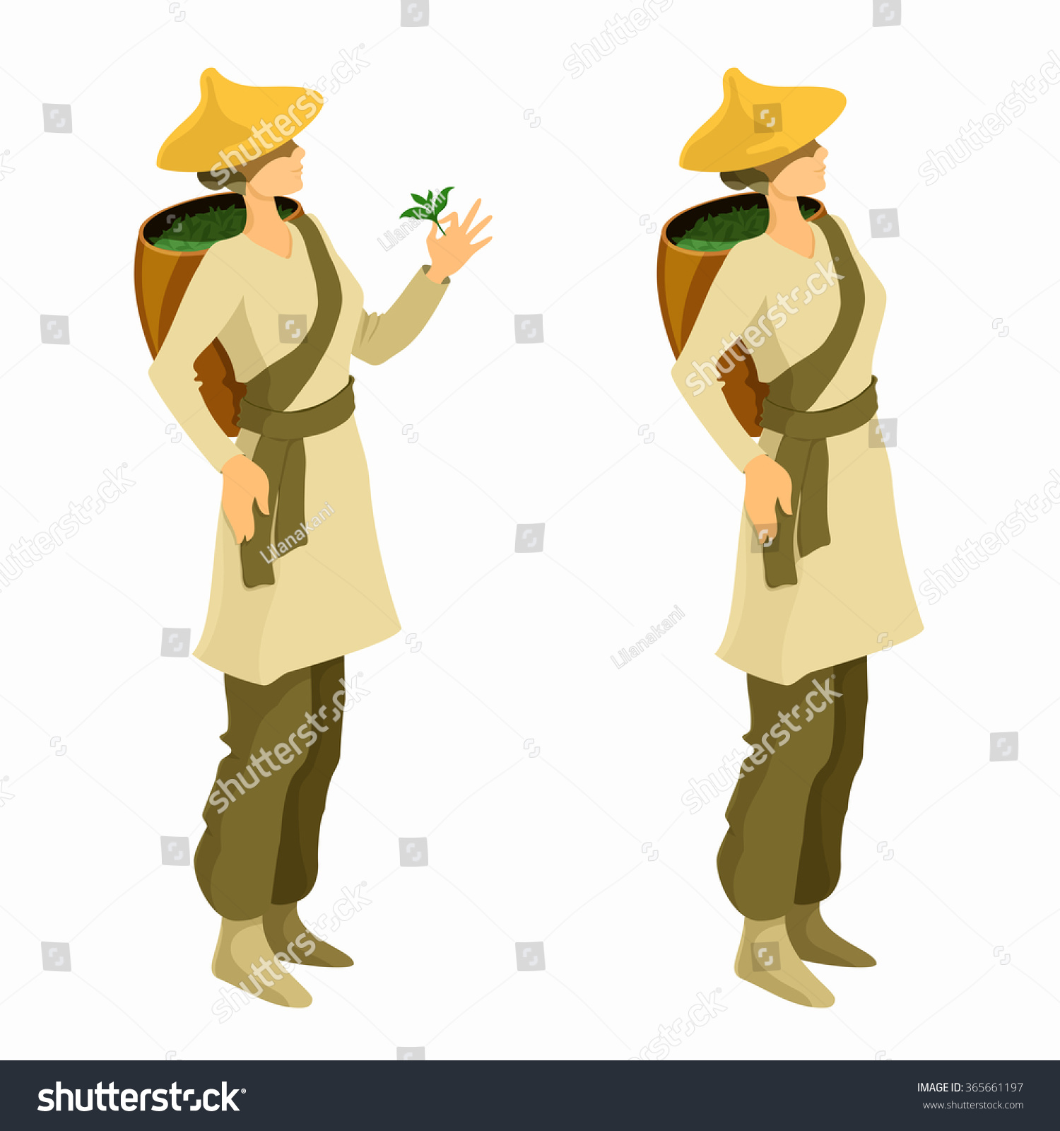 茶摘み女性の漫画イラスト アジアの茶農家のベクター画像 のベクター画像素材 ロイヤリティフリー