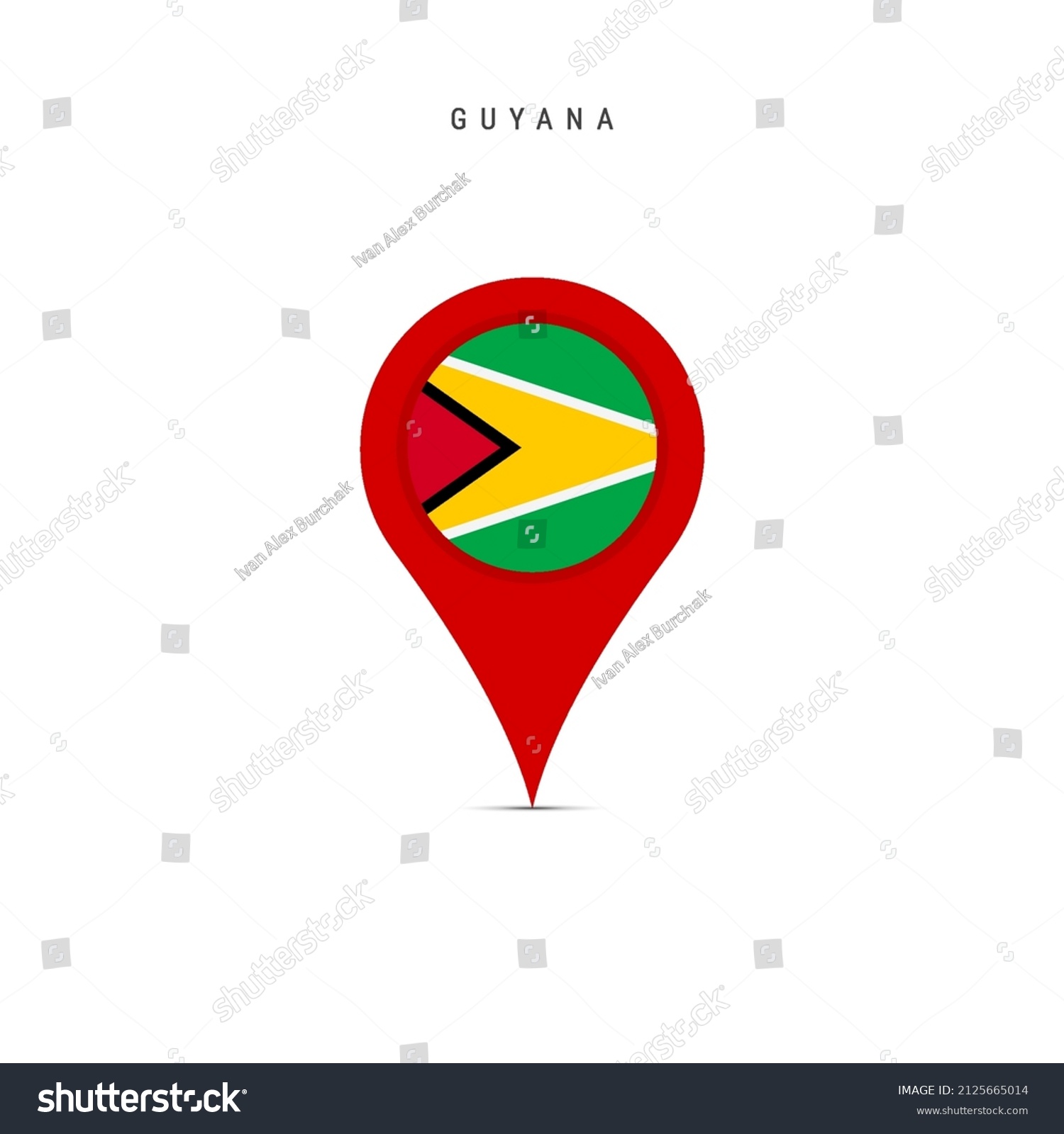 16x16 WLL Guyanese Flag Guyana Flag Art Pride Illustration Guyanese Love Throw Pillow Multicolor