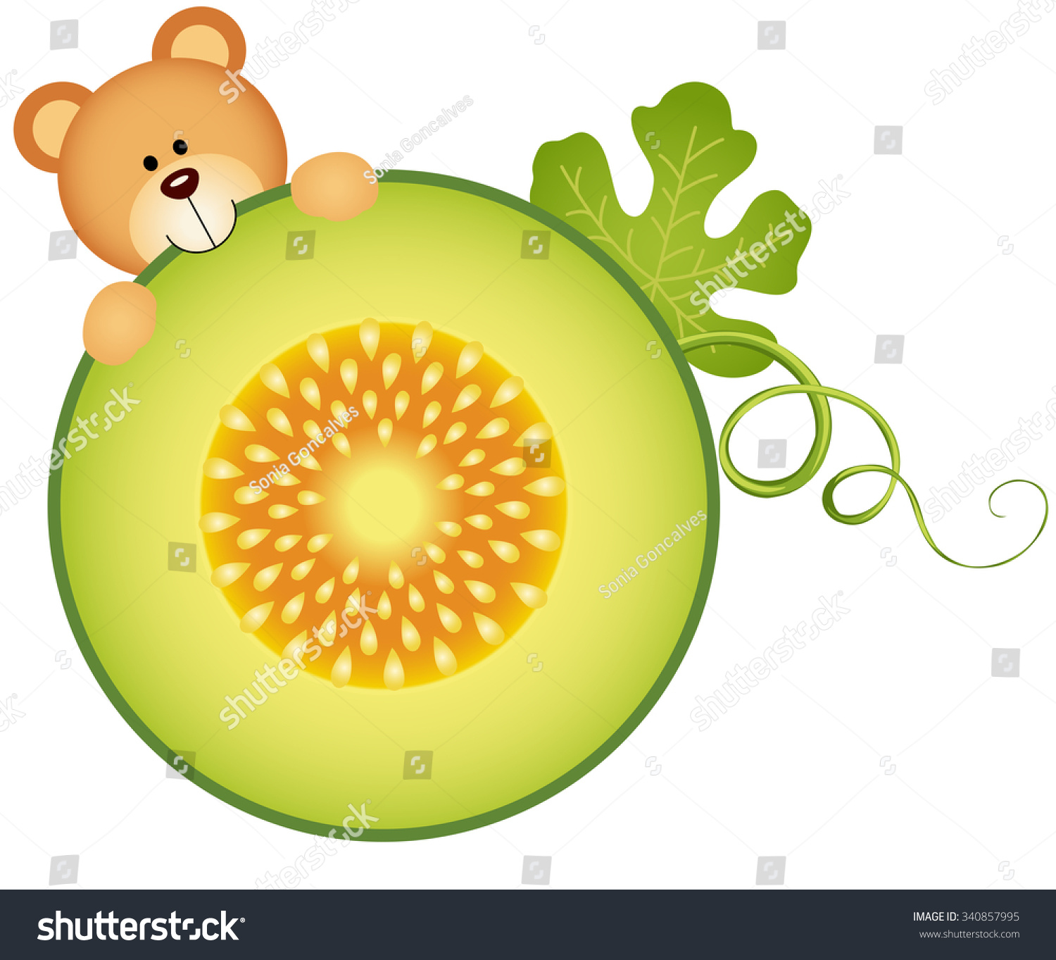 cute bear peeking melon slice clip art preview