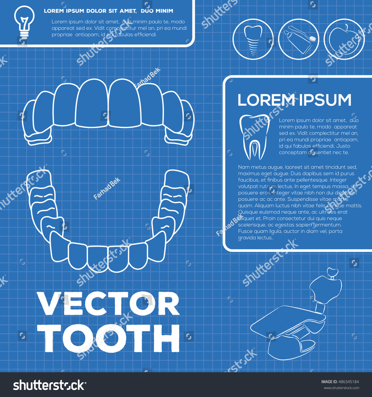 Teeth Infographic Template Blueprint Style Vector Teeth Infographic Template Blueprint Style Vector