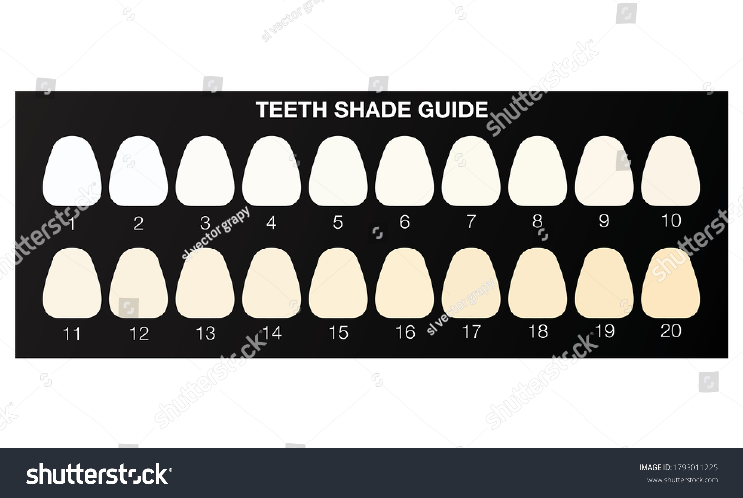 1-011-teeth-shade-guide-images-stock-photos-vectors-shutterstock