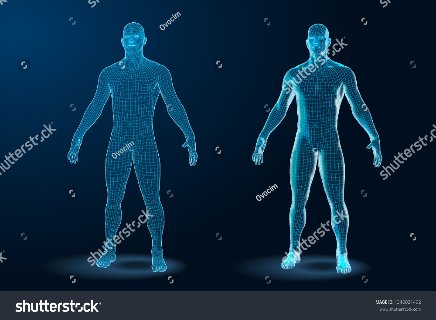 364,607 Human body science Images, Stock Photos & Vectors | Shutterstock