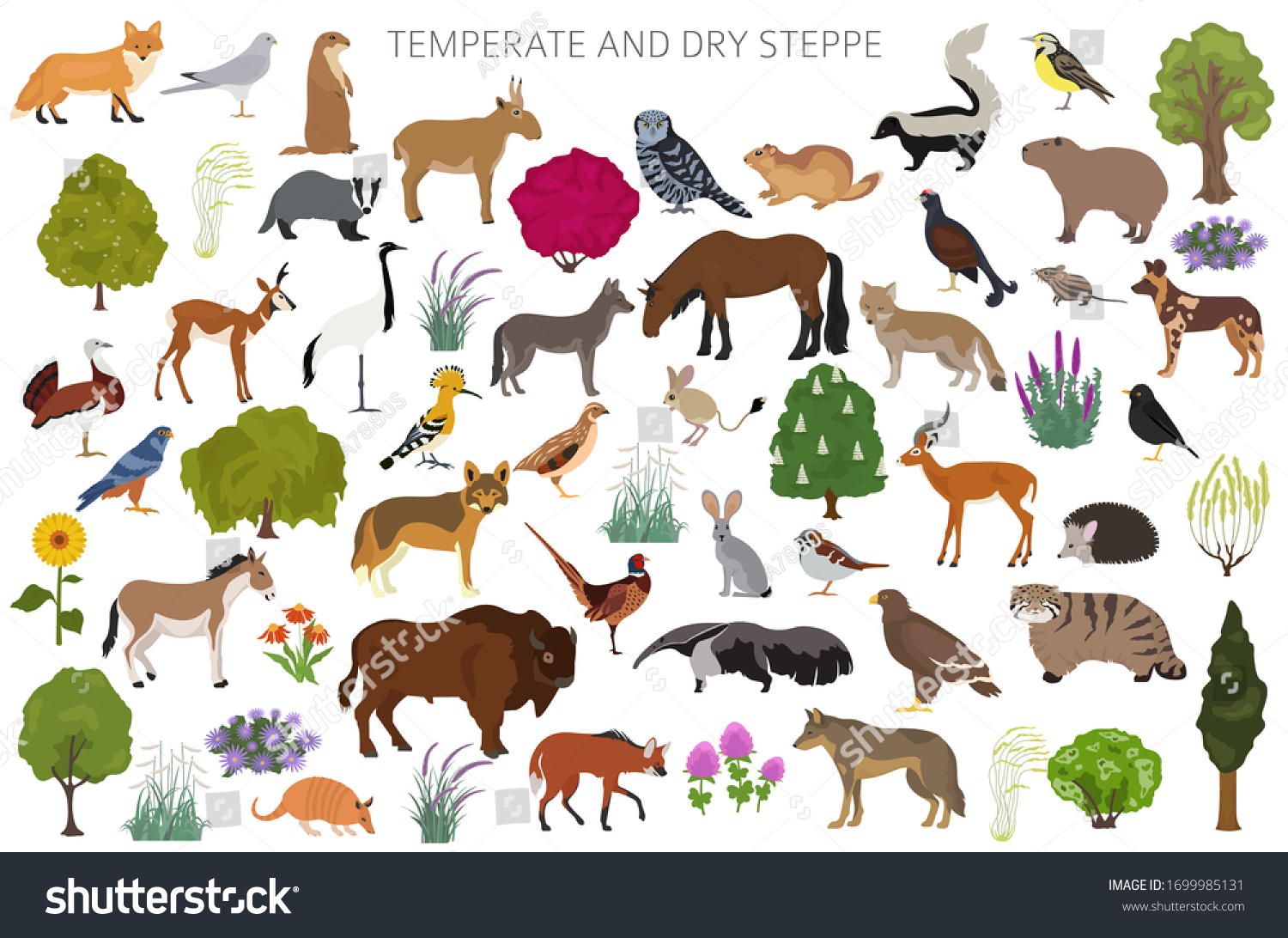 SVG of Temperate and dry steppe biome, natural region infographic. Prarie, steppe, grassland, pampas. Animals, birds and vegetations ecosystem design set. Vector illustration svg
