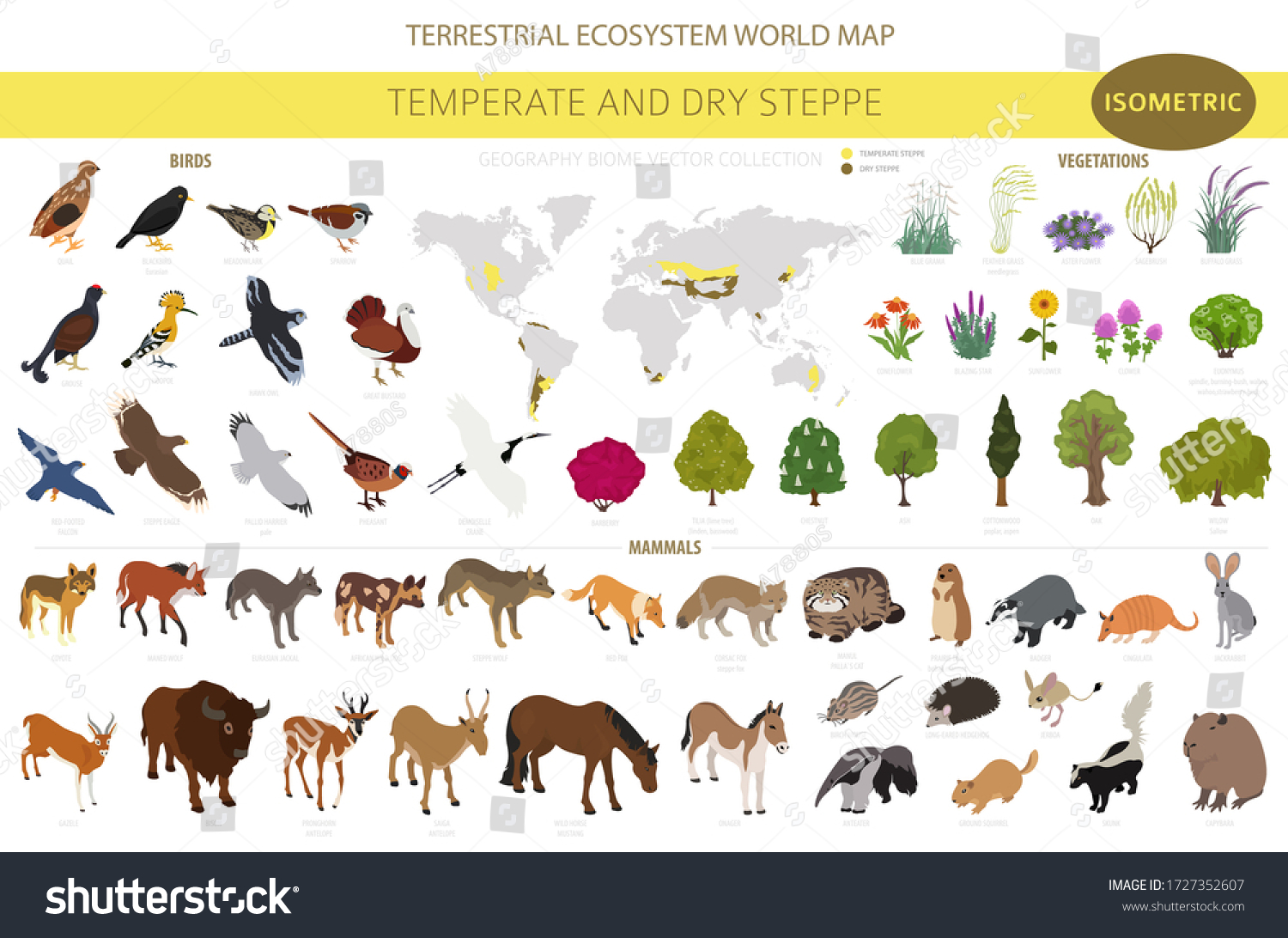 SVG of Temperate and dry steppe biome, natural region isometric infographic. Prarie, steppe, grassland, pampas. Animals, birds and vegetations ecosystem design set. Vector il svg