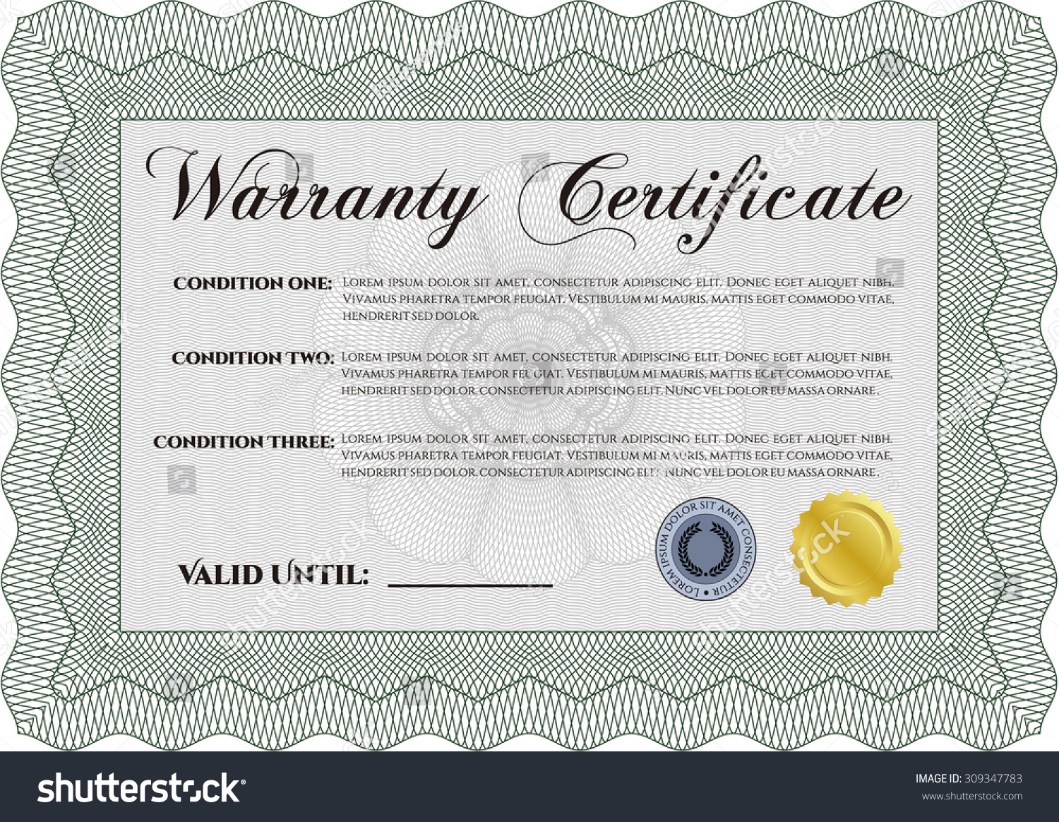 Template Warranty Certificate Very Detailed Complex Stock Vector ...