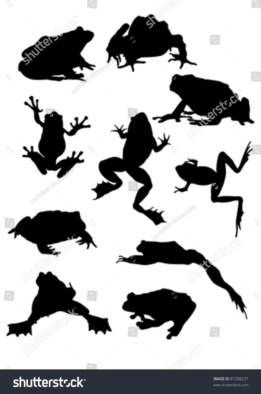 Ten Frog Silhouettes Stock Vector Illustration 81208237 : Shutterstock