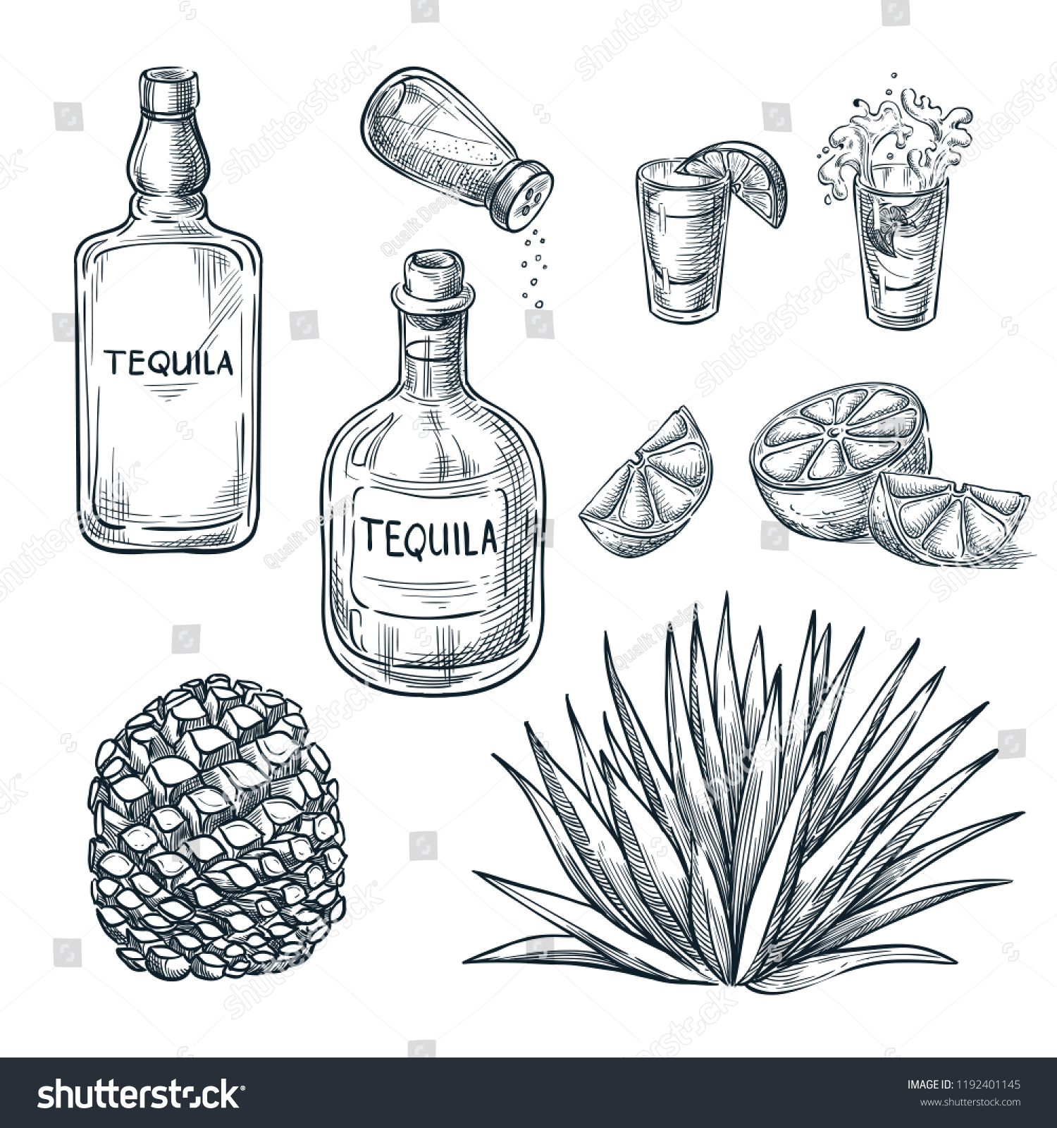 3,454 Tequila bottle drawing Images, Stock Photos & Vectors | Shutterstock