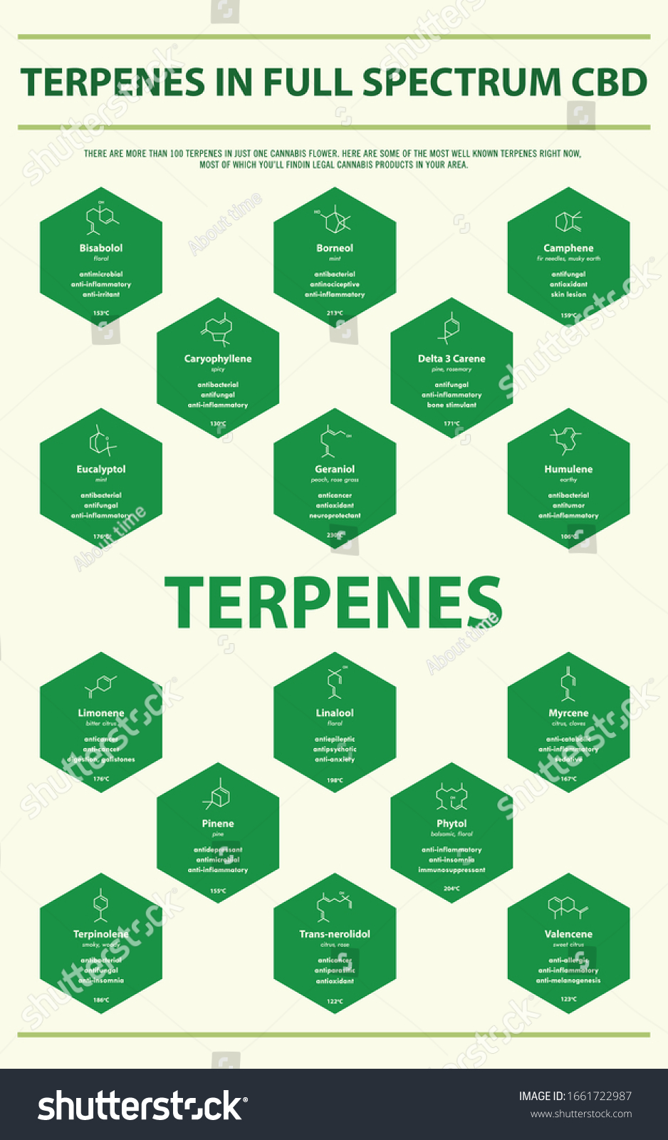 Terpenes Full Spectrum Cbd Structural Formulas Stock Vector (Royalty ...