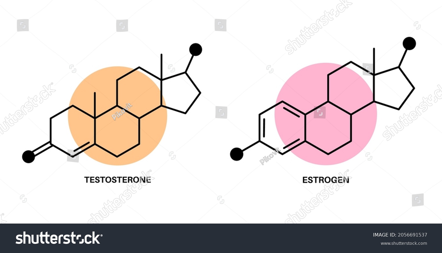 Testosterone Estrogen Chemical Formula Logo Icon Stock Vector Royalty Free 2056691537 4542