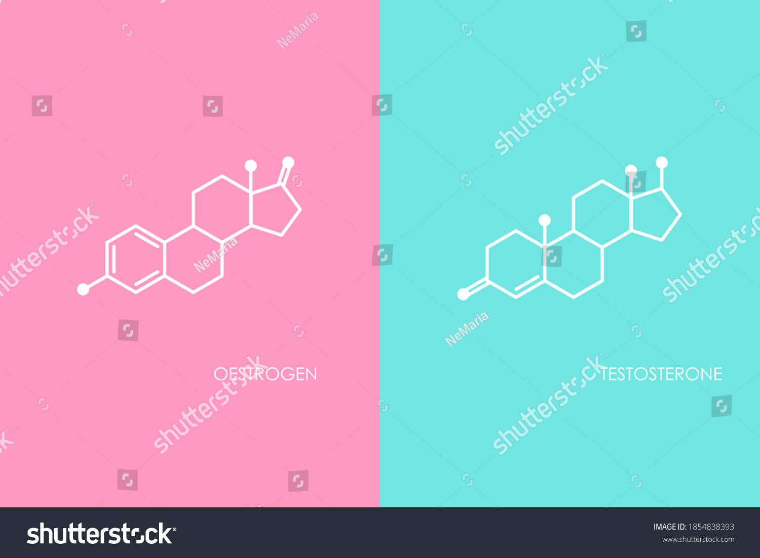 Testosterone Oestrogen Molecula Structure Blue Pink Vetor Stock Livre De Direitos 1854838393 2950