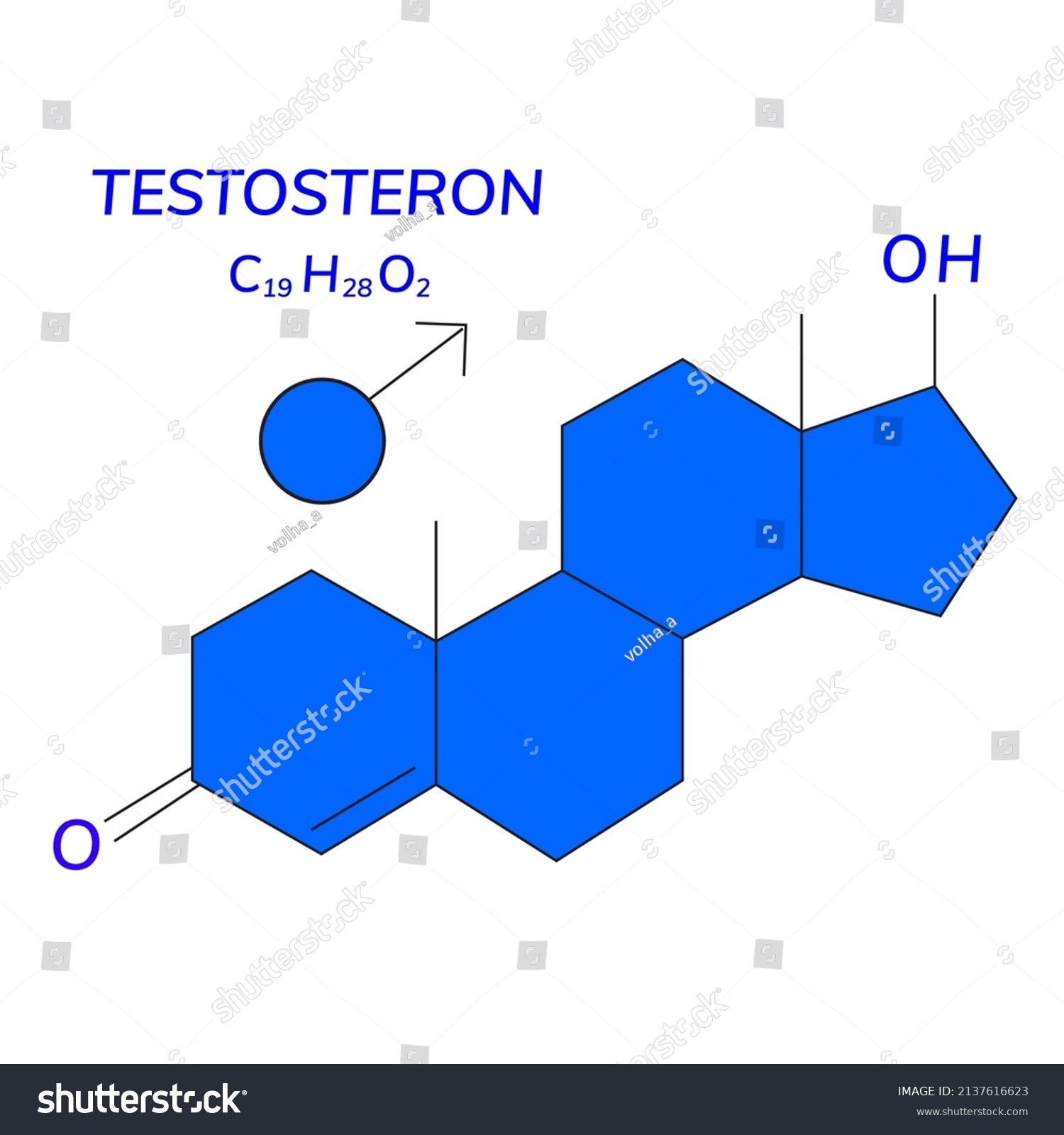 Testosterone Chemical Formula Male Sex Hormone Stock Vector Royalty Free 2137616623 Shutterstock