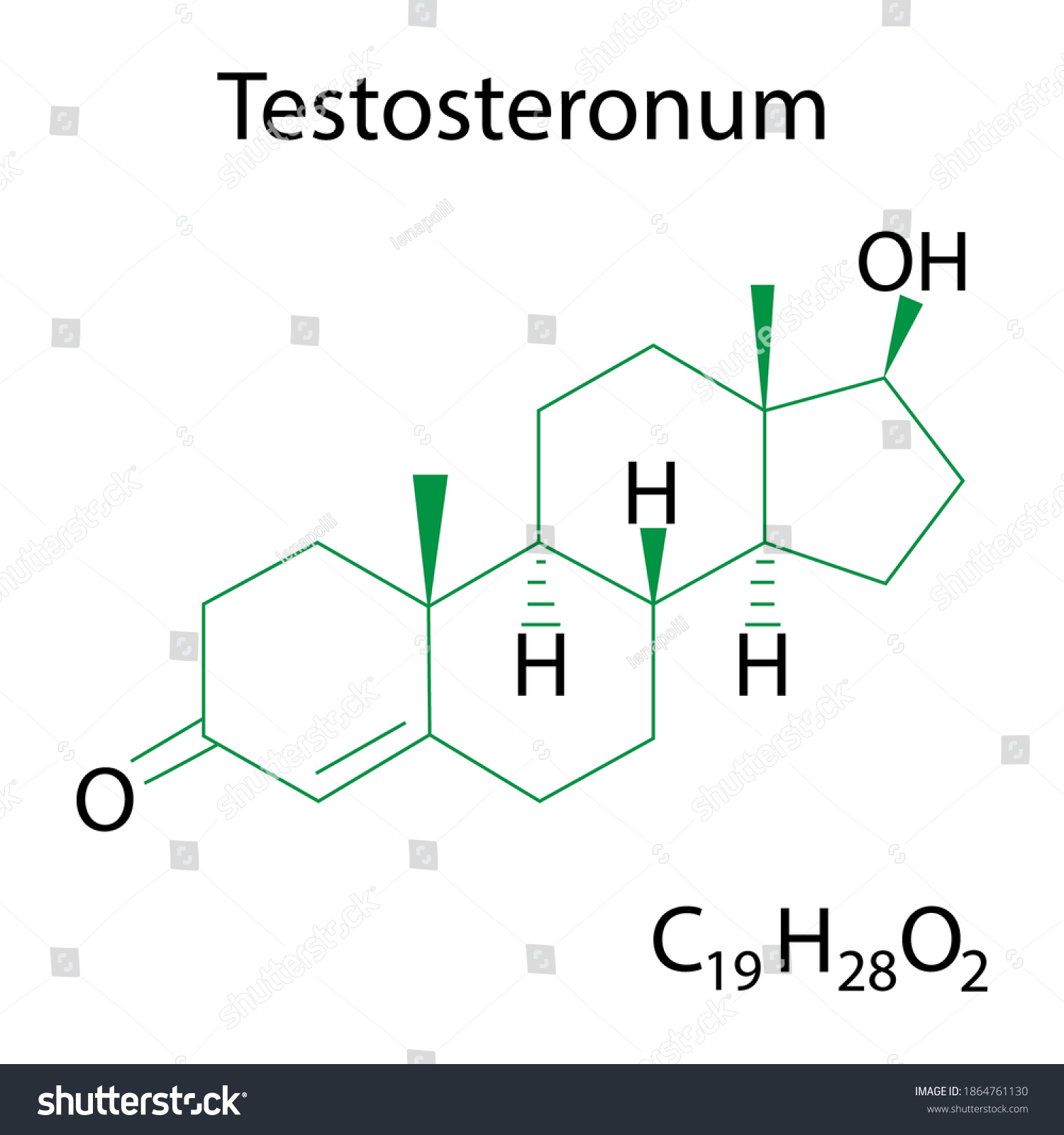 Testosterone Formula Chemical Structure Testoterone Schematic Stock Vector Royalty Free
