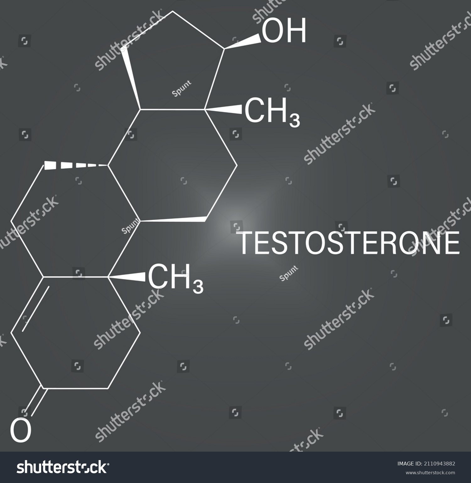 Testosterone Male Sex Hormone Androgen Molecule Stock Vector Royalty Free 2110943882