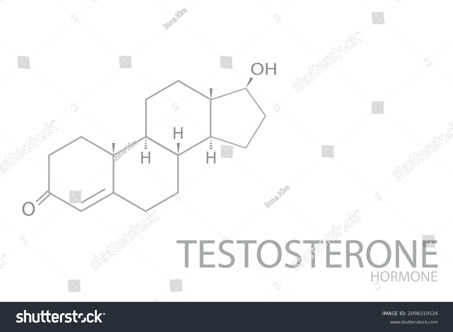 Testosterone Molecular Skeletal Chemical Formula Stock Vector Royalty