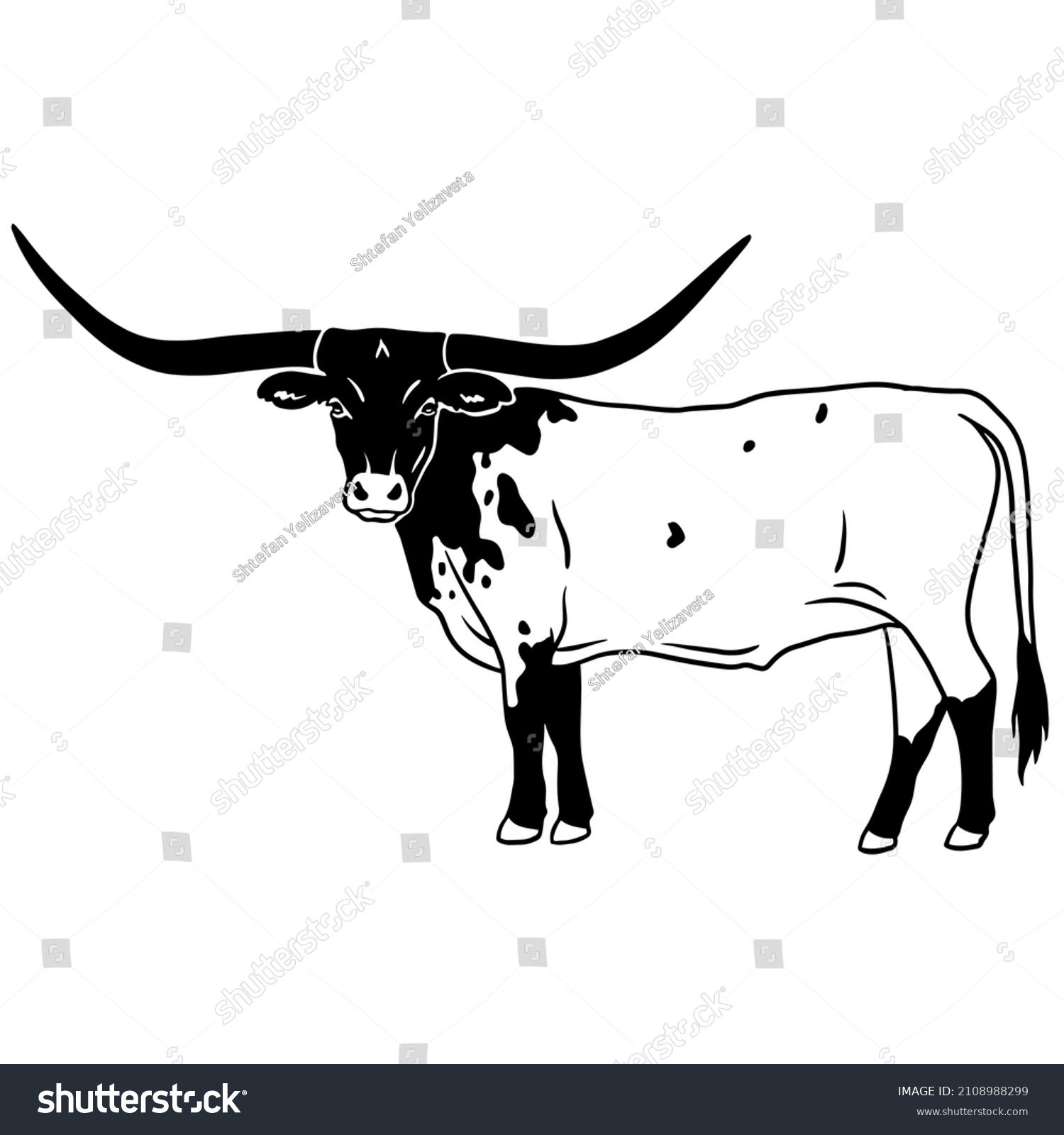 SVG of Texas longhorn vector. Design element for poster, t-shirt print, banner. Texas longhorn cattle head and body icon svg