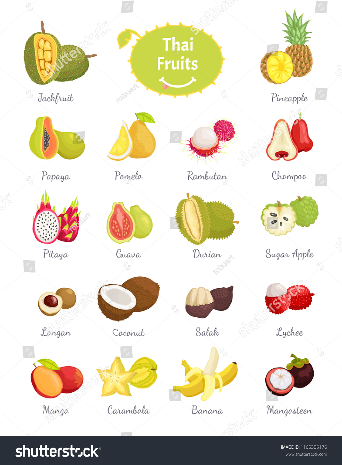 8,860 Thai fruit Stock Illustrations, Images & Vectors | Shutterstock